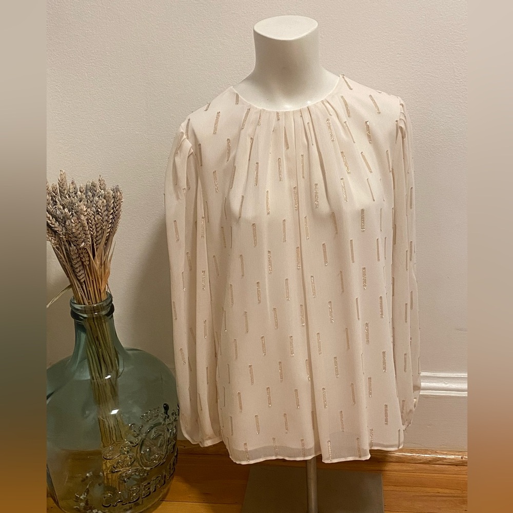 Ann Taylor Chiffon Blouse